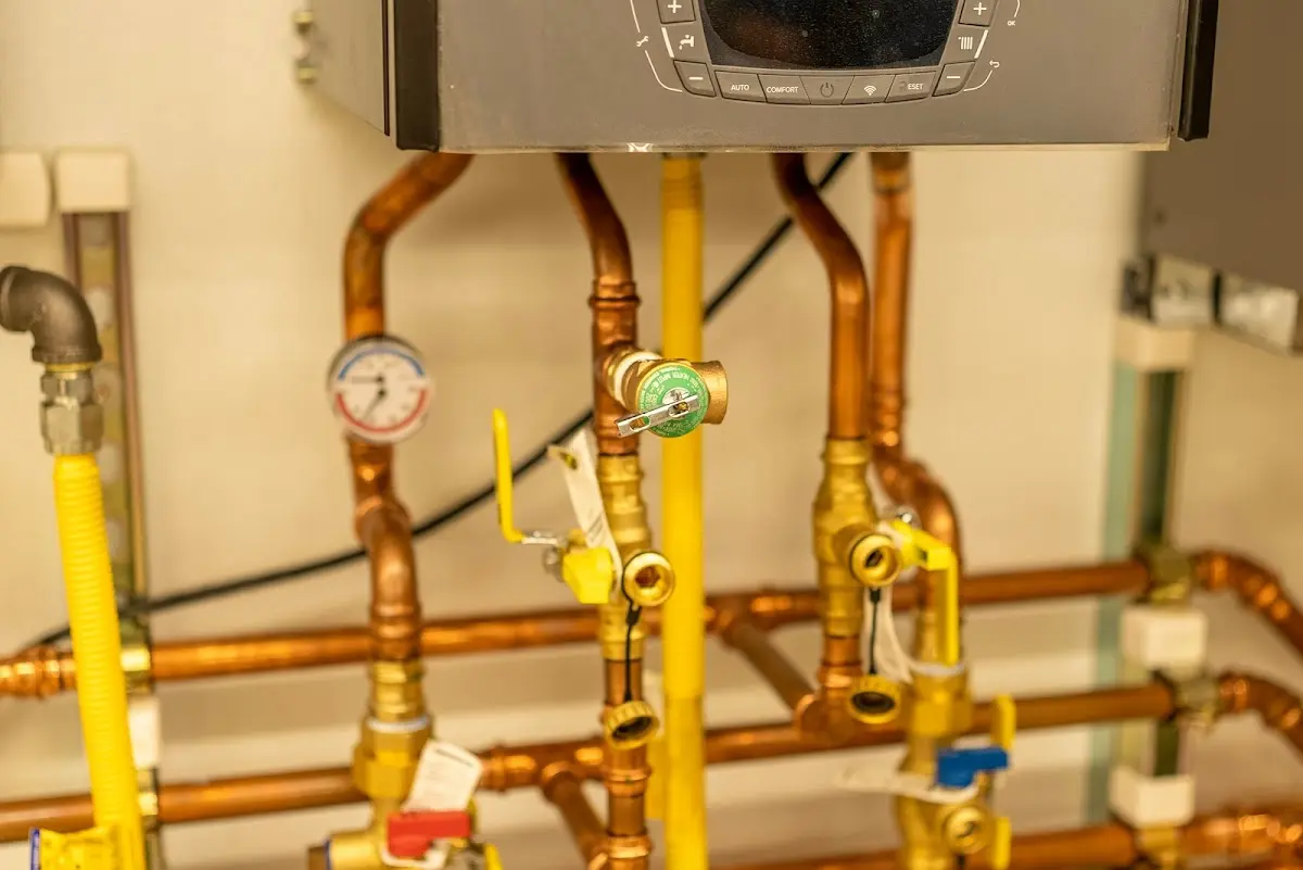 Licensed technician providing Emergency Plumbing for a homeowner in Pell City